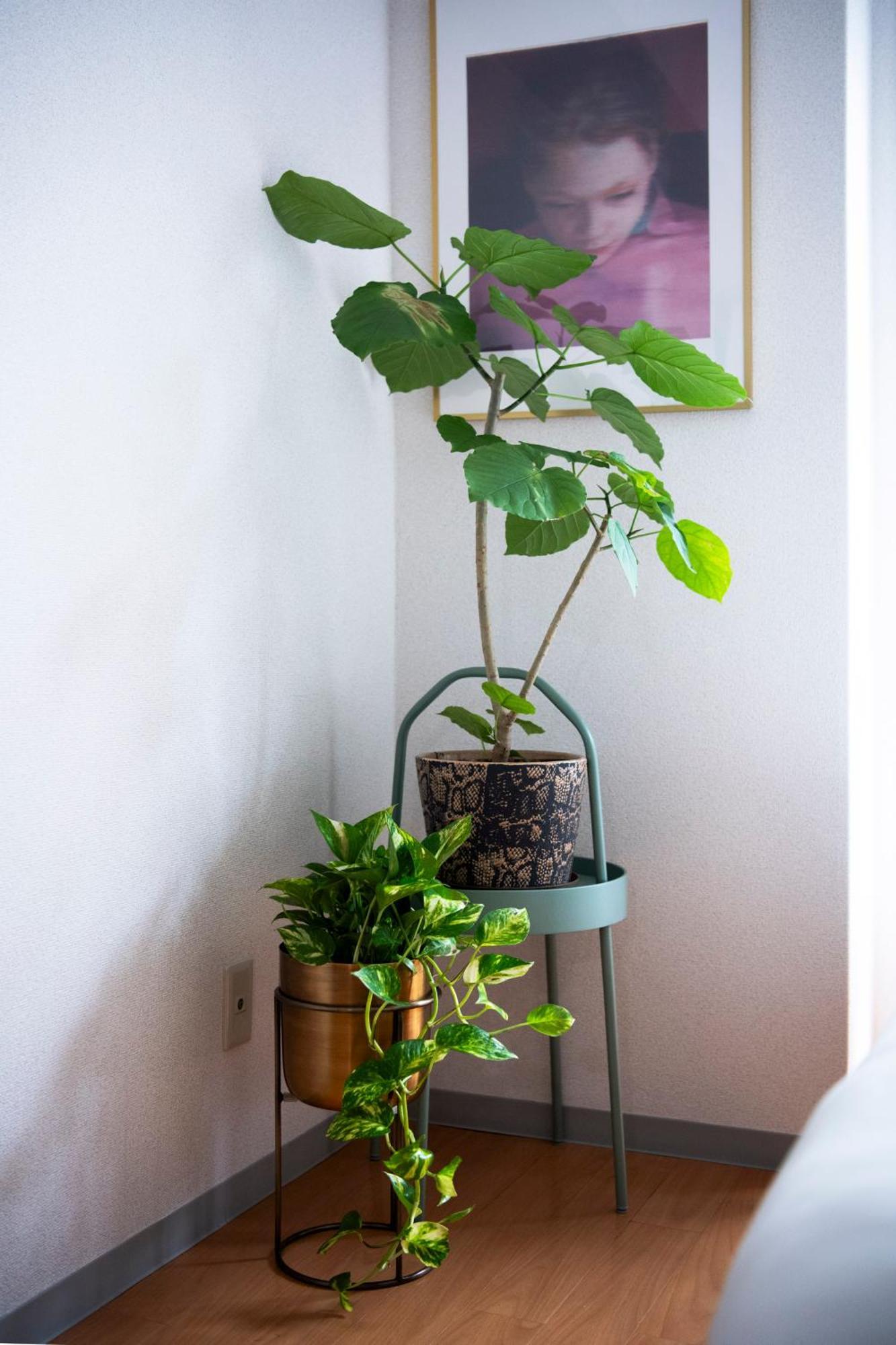 Renovated In June 2024 Apartment 3Mins Walk To Station 1Stop To Shinjuku 3Stop To Shibuya Tokio Buitenkant foto